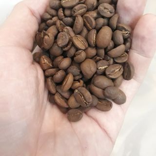 Cà phê Arabica nguyên vỏ thóc xuất xứ Indo giá sỉ