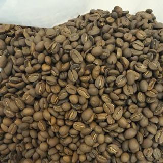 Cà phê Arabica nguyên vỏ thóc xuất xứ Indo