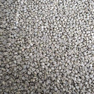 Cà phê Arabica nguyên vỏ thóc xuất xứ Indo