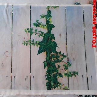 Vải phông nền FO4288 50x70cm