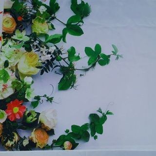 Vải phông nền fo10867-fo10868 50x70cm