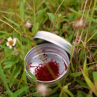Saffron Negin - Trực Tiếp Từ Iran