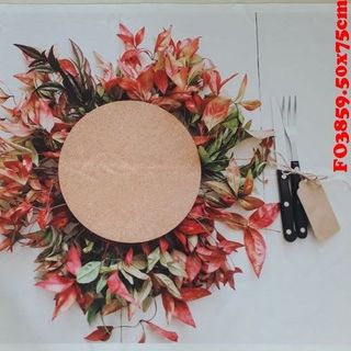 Vải phông nền FO3859 50x75cm