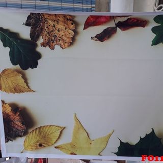 Vải phông nền FO1183 50x75cm