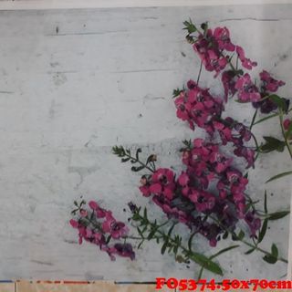 Vải phông nền FO5374 50x70cm
