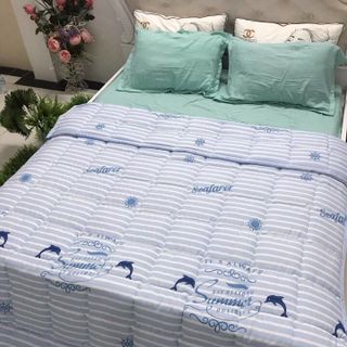 BỘ CHĂN GA GỐI COTTON ĐŨI KÍCH THƯỚC 1M8 X 2M