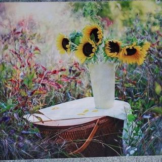 Vải phông nền FO8196 50x70cm