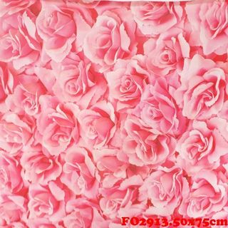 Vải phông nền FO2913 50x75cm