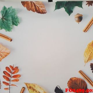 Vải phông nền FO2489 50x75cm