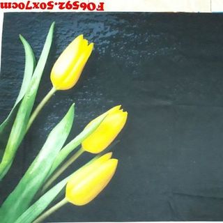 Vải phông nền FO6592 50x70cm