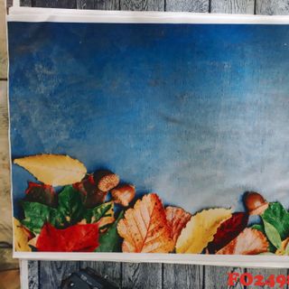 Vải phông nền FO2498 50x75cm