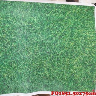 Vải phông nền FO1851 50x75cm