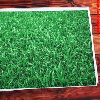 Vải phông nền FO6808 50x70cm