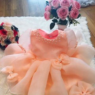 Đầm Công Chúa Hồng Baby