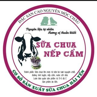 SỮA CHUA NẾP CẨM MỘC CHÂU giá sỉ