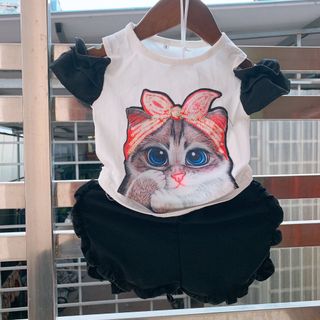 Set bộ mèo kim sa