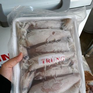 Mực full trứng size 10 - 12 con