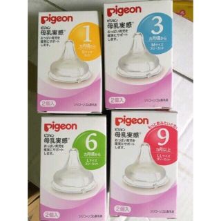 núm ti pigeon nội địa size smlll
