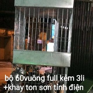 chuồng gà 60vuông trọn bộ