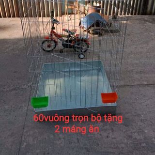 chuồng gà 60vuông trọn bộ