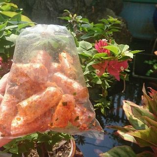 Bánh tráng đủ loại