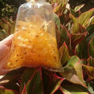 Bánh tráng đủ loại