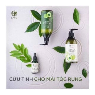 Combo dầu Gội Xả Tinh chất AlMa Cứu tinh cho người rụng tóc