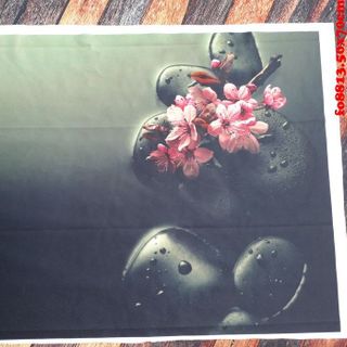 Vải phông nền fo8813 50x70cm