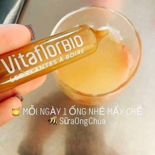 SỮA ONG CHÚA VITAFLOR BIO - PHÁP giá sỉ