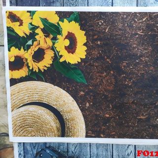 Vải phông nền FO1266 50x75cm