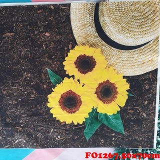 Vải phông nền FO1267 50x70cm