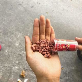 Xí Muội