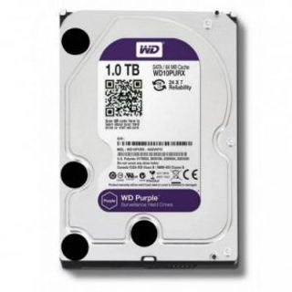 Ổ cứng 500G WD tím