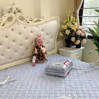 Chăn hè - thu Everon mẫu hoa nhí xanh