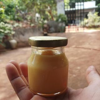 SỮA ONG CHÚA TƯƠI HỦ 100G GIÁ SỈ VẮT TRỰC TIẾP TẠI VƯỜN ONG