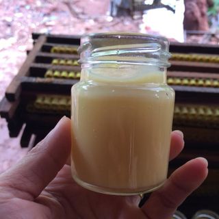 SỮA ONG CHÚA TƯƠI HỦ 100G GIÁ SỈ VẮT TRỰC TIẾP TẠI VƯỜN ONG
