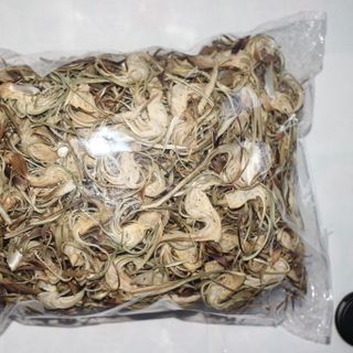 HOA ATISO SẤY KHÔ - ĐÀ LẠT