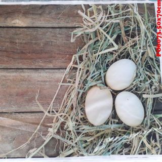 Vải phông nền FO6073 50x70cm