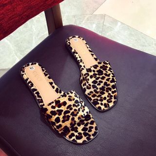 Dep quai ngang nỉ