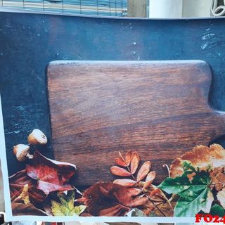 Vải phông nền FO2494 50x75cm