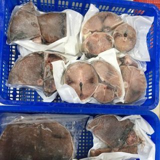 Cá Ngừ Đại Dương Sạch Không hóa chất