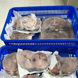 Cá Ngừ Đại Dương Sạch Không hóa chất