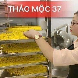 NGHỆ 37