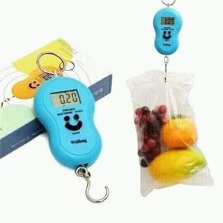 CÂN ĐIỆN TỬ MINI CẦM TAY ĐI CHỢ