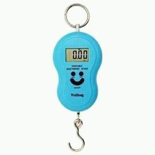 CÂN ĐIỆN TỬ MINI CẦM TAY ĐI CHỢ