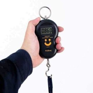 CÂN ĐIỆN TỬ MINI CẦM TAY ĐI CHỢ