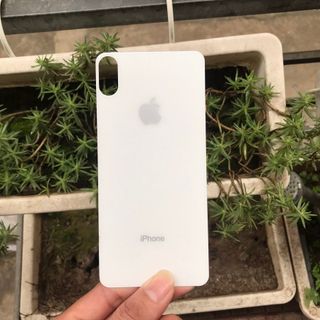 Kính cường lực mặt sau 5D dùng cho Iphone từ 6 - 11 Pro Max