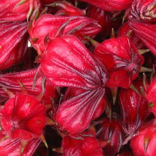Hoa atiso đỏ sấy - hộp 200g