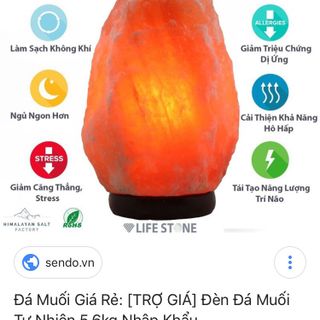 Đèn đá muối Himalaya