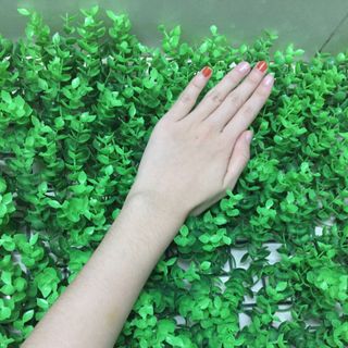 Kem body ủ dưỡng trắng da lotion